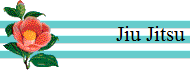 Jiu Jitsu